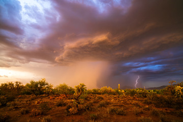 Orage de mousson dans le désert de l& 39 Arizona
