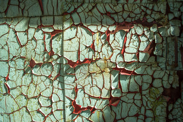 old buildings painted with shabby moss-covered walls crumble from time