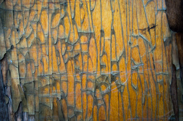 Fototapeta premium old buildings painted with shabby moss-covered walls crumble from time