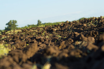 the tractor plows the field after the summer harvest in the fall to prepare for the next year