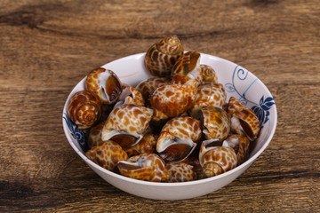 Tasty mollusk - spotted Babylon in the bowl