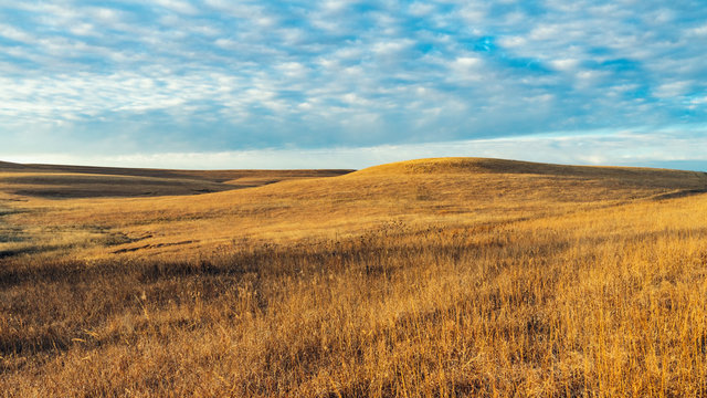 Winter Prairie Fields