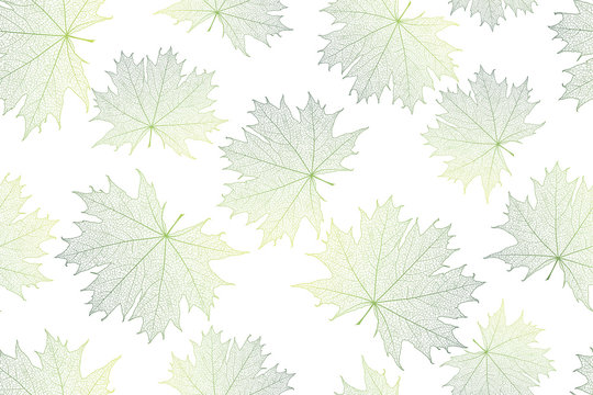 Seamless pattern with  maple leaves . Vector, EPS 10.