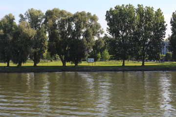 Rheinwiesen Biebrich