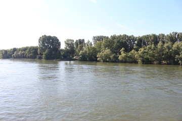 Rettbergsaue island in Mainz Germany