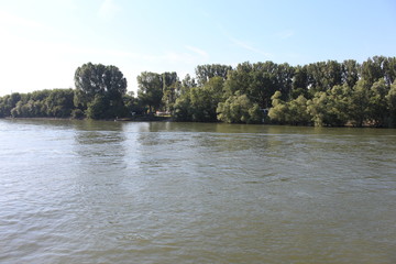 Rettbergsaue island in Mainz Germany