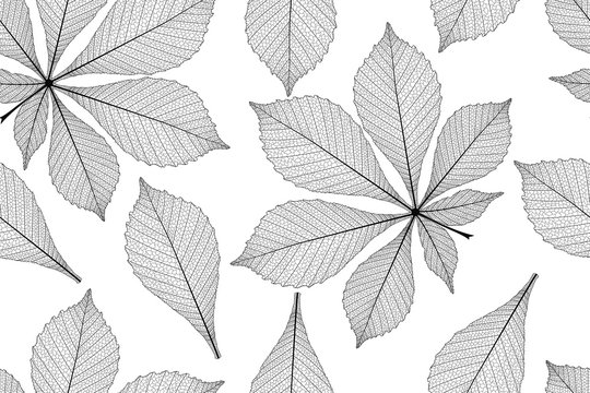 Seamless pattern with chestnut leaves. Vector illustration. 