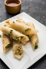 Paneer chilli cigar are crispy rolls stuffed with paneer which is an interesting starter for any party. served with tomato ketchup. selective focus