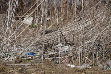 Trash on the agriculture field. Ecology problem and big harm to nature.