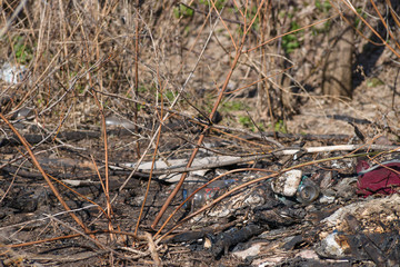Trash on the agriculture field. Ecology problem and big harm to nature.