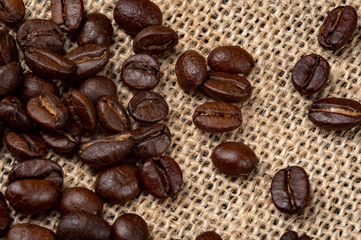 Coffee Beans Arabica Canvas Background. Close-up photo.