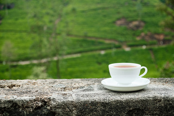 White Drink Cup Isolated on Plantation Background