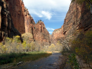 Zion Canyon river