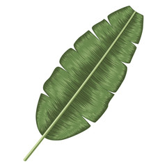 Obraz premium Tropical leaf palm isolated. Watercolor. Vector illustration. EPS 10