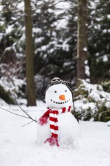 Obraz premium Snowman standing in winter landscape