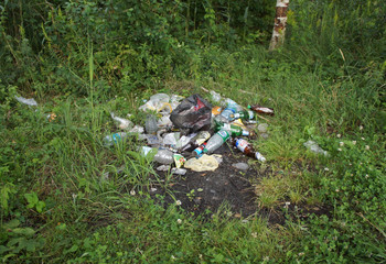 Garbage and trash lies in the forest. Pollution of the wild.