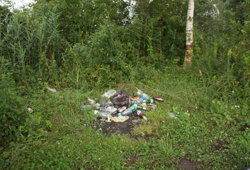 Garbage and trash lies in the forest. Pollution of the wild.