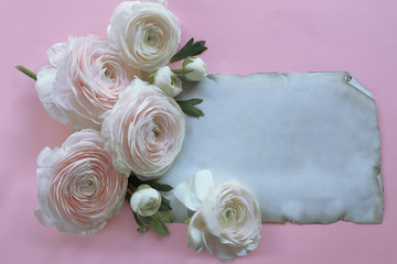 Ranunculus flowers with paper on pink background 