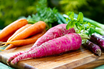 Bunches of fresh red long radish, carrots and purple onion, new harvest of healthy vegetables