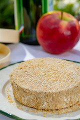 French cheeses collection, piece of fermented cow milk cheese Camembert au Calvados served with French dry apple cider outside in green garden