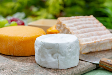 Belgian cheeses collection, yellow abbey beer cheeses and brie with white mold served on marble plate