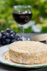 French cheeses collection, piece of fermented cow milk cheese Camembert au Calvados served with glass of sweet red port wine in green garden