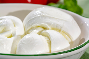 Twisted to form a plait treccia mozzarella Italian soft cheese served with fresh basil and tomatoes