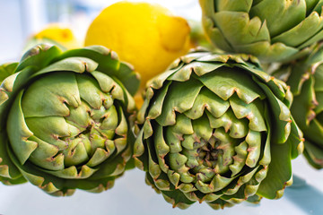 Heads flowers of fresh raw artichokes plants from artichoke plantation in Argolida, Greece ready to cook with lemon