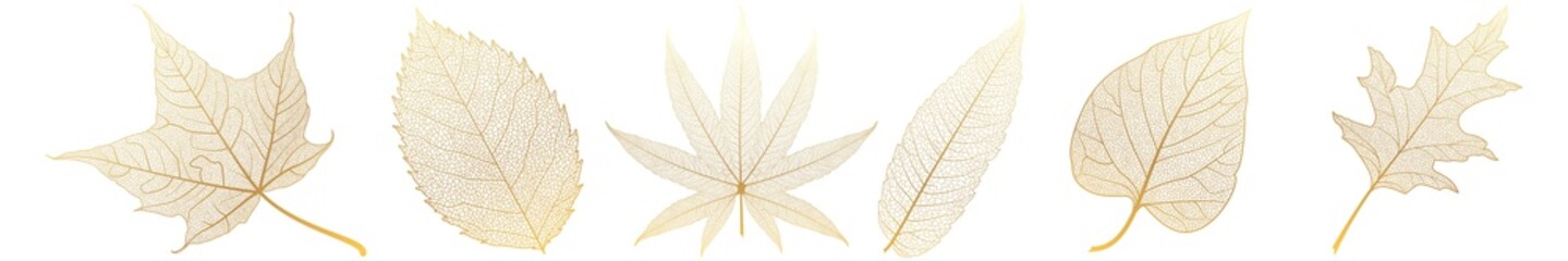 Fototapeta premium Set leaves on white. Vector illustration.