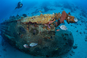 Diver explores small wreck on the Front Porch dive site, Bonaire, Netherlands Antilles