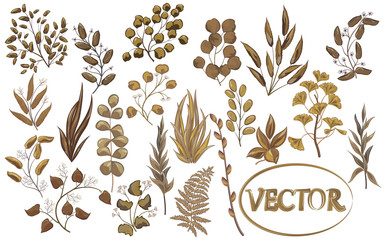 Set art watercolor natural branches leaves elements. Vector illustration .