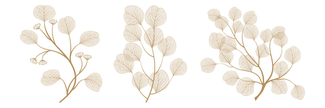 Set branches with leaves eucalyptus. Vector illustration. EPS 10.