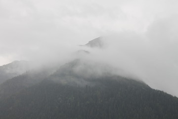 fog in mountains