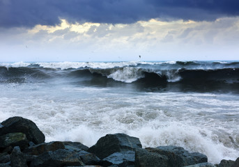 Fototapeta na wymiar sea wave during storm