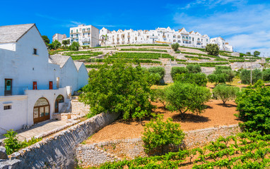 Scenic sight in Locorotondo, Bari Province, Apulia (Puglia), southern Italy.