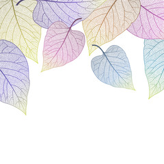 Beautiful background with colored leaves .Vector illustration. EPS 10