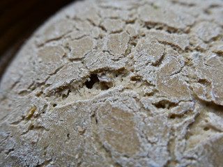 Fototapeta na wymiar detailed view on rye dough bread