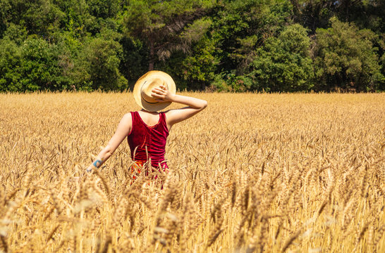 Campo Trigo Photos Royalty Free Images Graphics Vectors Videos Adobe Stock