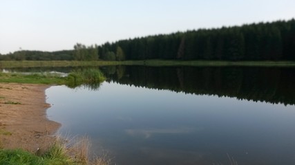 lake in the forest