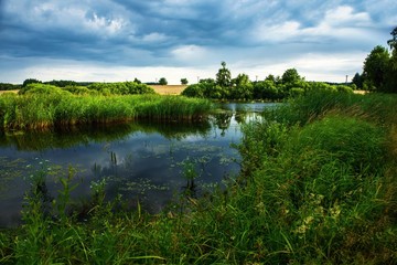 Fototapeta na wymiar Calm small pond with green vegetation.