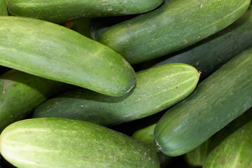 agriculculture, farming, crops, farm produce