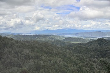 Forest Of Thailand with Landscape View