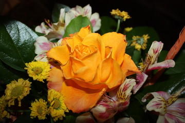 bouquet of yellow roses