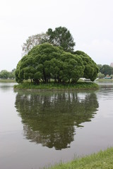 lake in the park