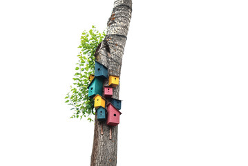 Colorful Nesting Boxes on tree isolated on white