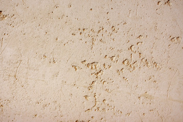 Texture background abstract of plastered wall. Copy space. Can be use as wall paper screen saver cover page or for winter season card background