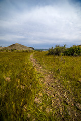 paisaje de camino con hierba y costa 