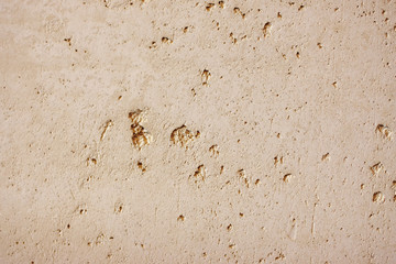 Texture background abstract of plastered wall. Copy space. Can be use as wall paper screen saver cover page or for winter season card background