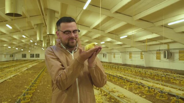 Happy farmer admires of baby-chicken at camera on poultry farm