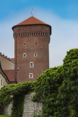 Fototapeta na wymiar Old brick round tower in Krakow, Poland. Stone wall with green ivy.